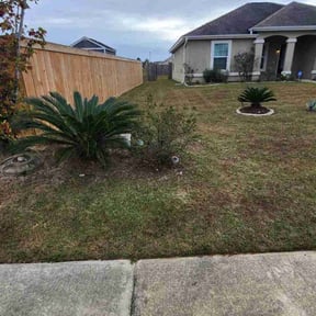 Leaf Removal by Beast-mowed property maintenance reviewed on November 22, 2025