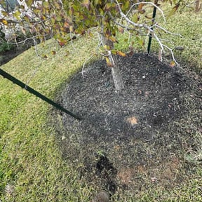 Flower Bed Weeding by Lawn Gnomes LLC reviewed on November 21, 2025