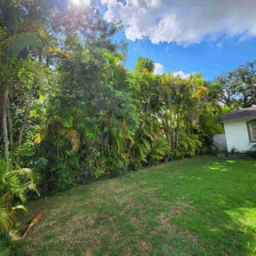 Bush Trimming by Pro Cut Lawns LLC reviewed on August 20, 2025