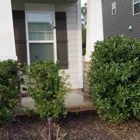 Bush Trimming by J's Lawn and Landscaping reviewed on August 17, 2025