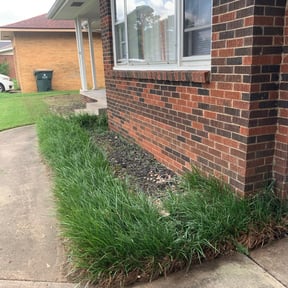 Flower Bed Weeding by Pringle's landscaping llc. reviewed on August 18, 2025