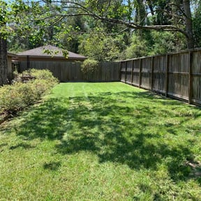 gardening service by Green World reviewed on November 21, 2025