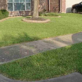 grass maintenance by Quality lawn care services reviewed on June 2, 2025