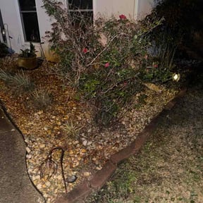 Flower Bed Weeding by Done Rite lawn maintenance reviewed on March 31, 2026