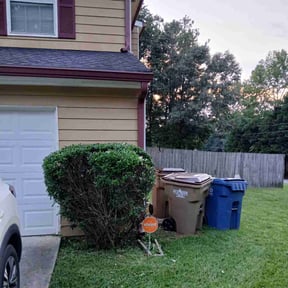 Bush Trimming by All yards reviewed on August 25, 2023