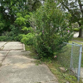 Bush Trimming by Souders Lawn Care and Landscaping  reviewed on May 17, 2021