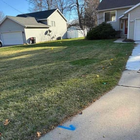 Leaf Removal by GE Lawn Care reviewed on November 24, 2025