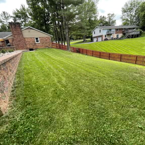 landscape maintenance by CM Lawn Service reviewed on August 19, 2025