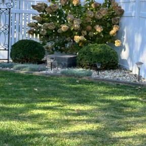 Bush Trimming by 3D Cutting reviewed on April 8, 2025