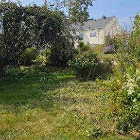 Flower Bed Weeding by Bodiford landscaping reviewed on December 30, 2025