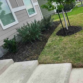 Flower Bed Weeding by B.mendoza lanscaping reviewed on May 3, 2026