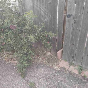 Flower Bed Weeding by Aaron's Happy Home &amp; Lawns reviewed on July 6, 2026