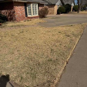 Leaf Removal by Top hawg lawn care reviewed on February 13, 2026