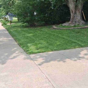 lawn care by Jacob&#039;s property management reviewed on August 15, 2025
