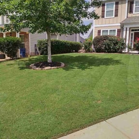 landscaping by N2LC reviewed on August 19, 2025
