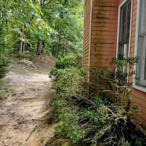 Bush Trimming by Clean Cut Land Management reviewed on August 19, 2025