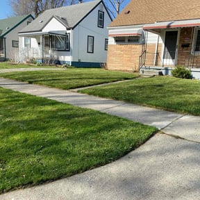 yard care by Ed's lawn barber reviewed on August 16, 2025