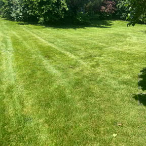 yard care by Shoregreen Lawn Maintenance LLC reviewed on August 21, 2025