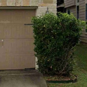 Bush Trimming by Boss Outdoor Service reviewed on October 21, 2025