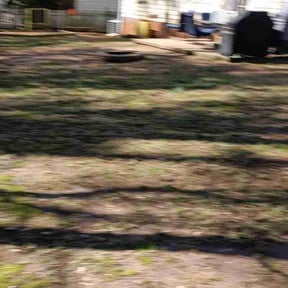 Leaf Removal by Epic Journey Enterprises LLC reviewed on September 21, 2025