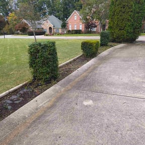 Bush Trimming by LEL landscape reviewed on November 23, 2025