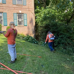 Bush Trimming by Cortes Cortez reviewed on August 18, 2025