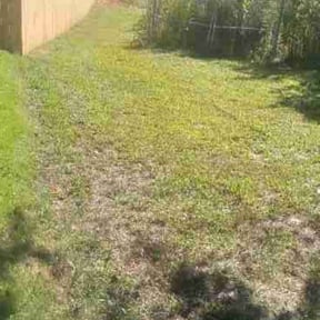 Bush Trimming by Morgan's Lawncare reviewed on August 19, 2025