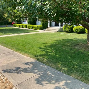 yard care by Peguero y Perez reviewed on August 21, 2025