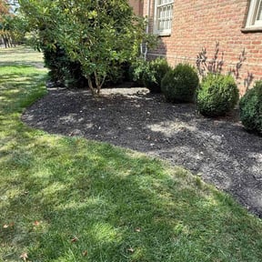 Flower Bed Weeding by BORRELLI&#039;S Mowing reviewed on October 24, 2025