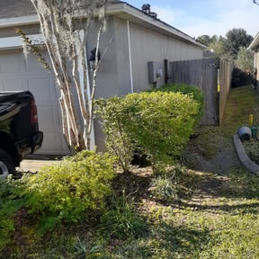Bush Trimming by A-one lawn service llc reviewed on August 19, 2025