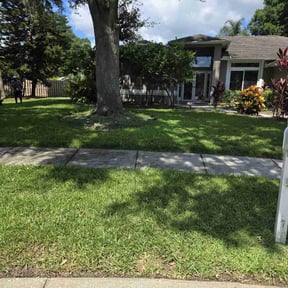 landscaping services by Lawncare Genius reviewed on August 16, 2025