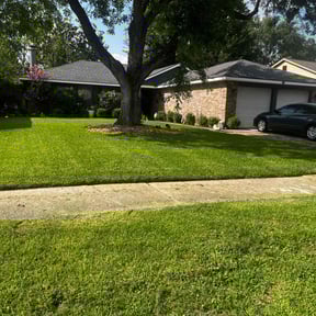 yard maintenance by David&#039;s Pool &amp; Lawn Service reviewed on December 4, 2025