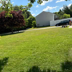 residential landscaping by To The Rescue Landscaping and Hurricane Clean Up reviewed on August 24, 2023