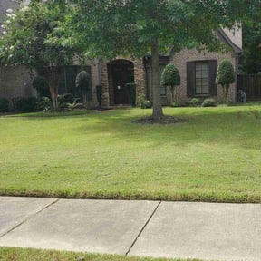 Bush Trimming by Guzarc Lawn Services LLC reviewed on December 18, 2025