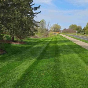 landscape maintenance by Walker Handyman reviewed on August 2, 2025