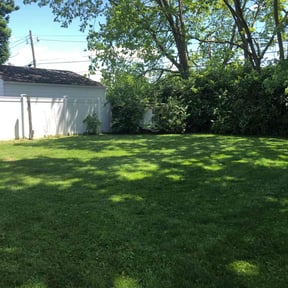 yard work by FlexCuts Lawncare reviewed on August 17, 2025