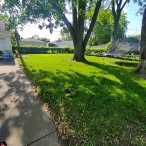 landscaping services by PizzaCuts reviewed on August 16, 2025