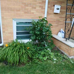 Bush Trimming by H&amp;M lawn care reviewed on July 1, 2026