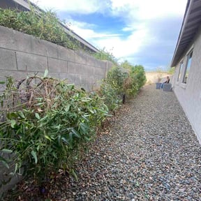 Bush Trimming by CSA landscaping inc reviewed on February 27, 2026