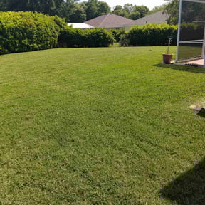 gardening service by Bo's lawn care reviewed on August 21, 2025
