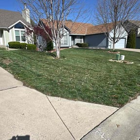 turf maintenance by Farsight services reviewed on September 24, 2023