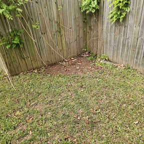 Leaf Removal by Carrate Landscaping LLC reviewed on October 3, 2025