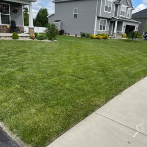 gardening service by Florida LawnScapers LLC reviewed on August 15, 2025