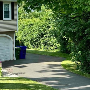 yard maintenance by Ernesto Rosado reviewed on August 21, 2025