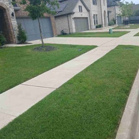 gardening service by Counts lawn Care reviewed on August 19, 2025