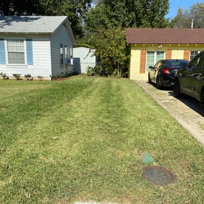 grass maintenance by Doyle Land Systems reviewed on November 9, 2017