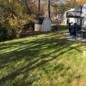 Leaf Removal by Mila Boza reviewed on November 10, 2025