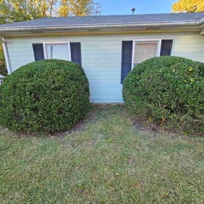 Bush Trimming by E.B. Lawncare  &amp; maintenance LLC reviewed on March 24, 2026