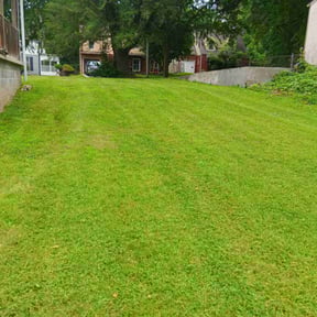 gardening service by #1 And Done Lawn care reviewed on August 15, 2025