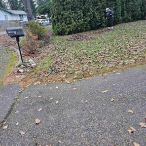 Leaf Removal by Rise Lawn Care reviewed on November 21, 2025